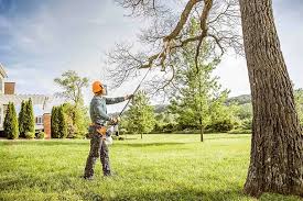 Best Lawn Renovation and Restoration  in Lake Lure, NC
