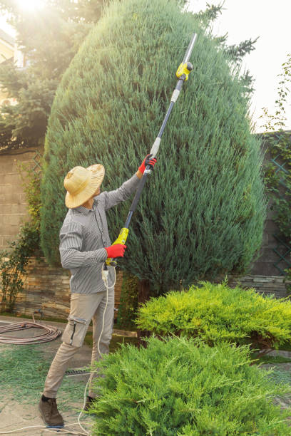 Best Weed Control  in Lake Lure, NC